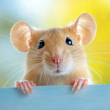 firefox TsV9xjKe3J.png