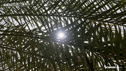 JseNqhAP7aqA 5Gk.jpg