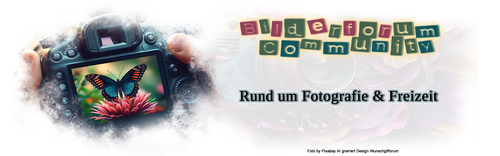 a 666 8403caa9.png