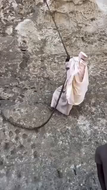 ziEcJ7EllUhzctiD.1