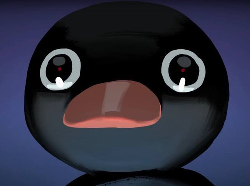 noot stare.jpg