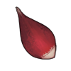 GrainOfParadise.png