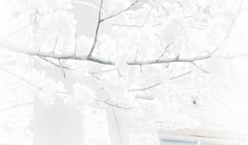 IMG 2216.png