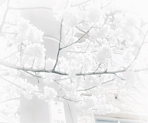 IMG 2214.png