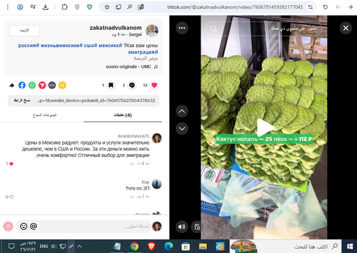 Screenshot 10.png