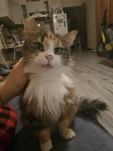 HBMExYaWcAA21kc?format=jpg.jpg