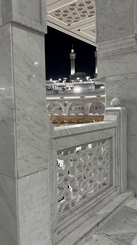 fjGx CsHvLd7rB41.jpg