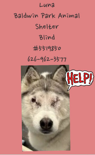 HBNiW77akAA wae?format=jpg.jpg