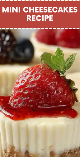 08292926 0d9f 4f24 a55c 672eb2e7f4e6.png