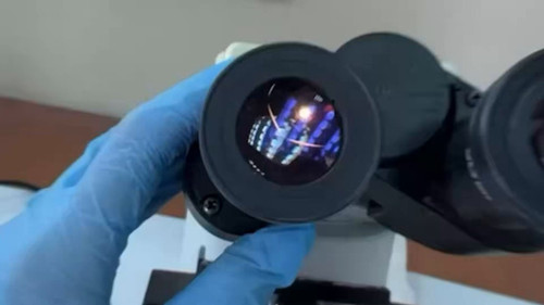 IP idiFq2XwKSjqi.jpg