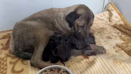 EHcWnOBNgp mwtrQ.jpg