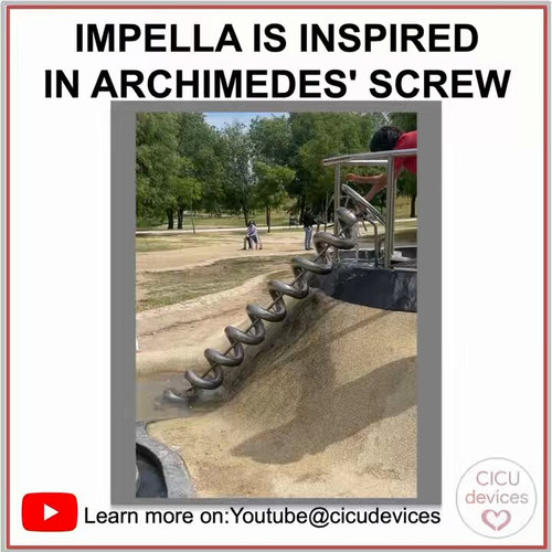 Mnf BU0MeKi3Hn7T.jpg