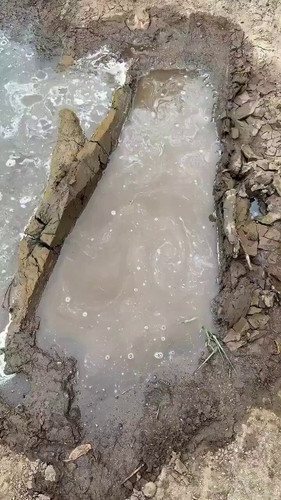 IWqtL4v2KXYw rDZ.jpg