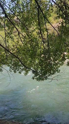 63KwqSXFP1f pA82.jpg