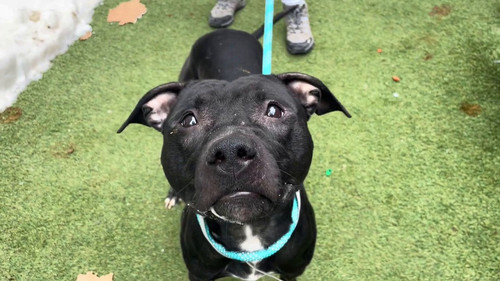 5PFCTzBin MlFyWO.jpg