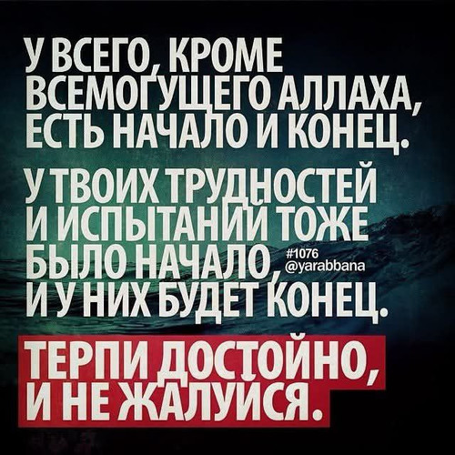 Rs5Iq9YMSnLabVbR5RF z RgDetXeYFQbOd1xEXRkA3MuVGZVA kGbtItQ6FNNAJ6xo038hrbMs62brI0QoNLuGmrc84YNicie x.jpg