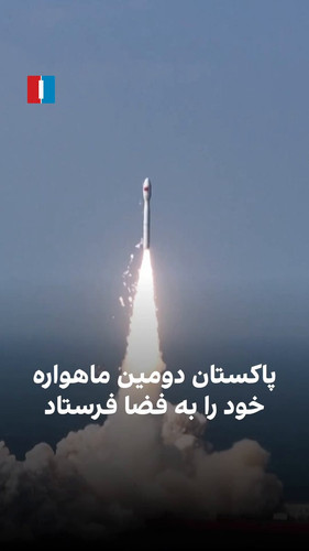 C8yM N1z1B8m 6LK.jpg