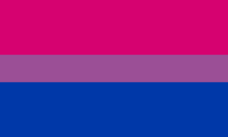 Bisexual Pride Flag.svg.png