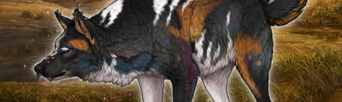 image 2026 02 16 013058745.png