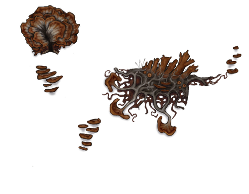 Untitled43 20260215234345.png