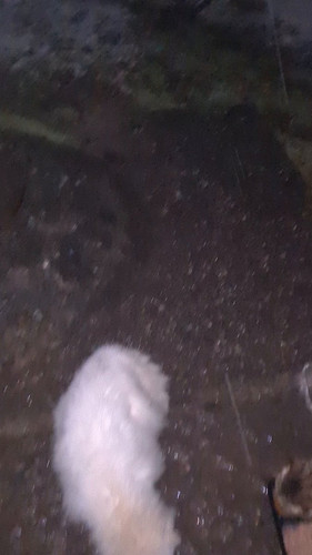 S6dKv0io btTAf32.jpg