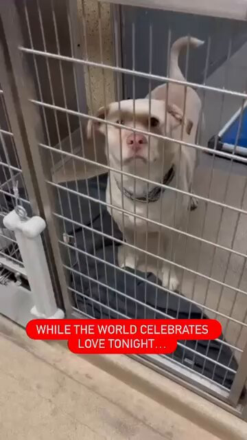 py0UIxbg QKkdA34.jpg