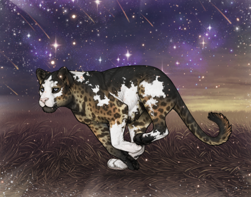 Screenshot 2026 02 15 at 7.11.17 PM.png