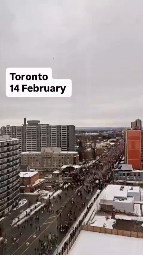 dZL2uzRJ fk44CKR.jpg