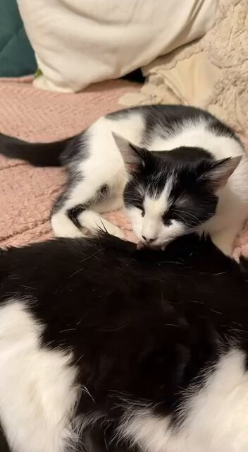 rUpbBFiihr GC7Jk.jpg