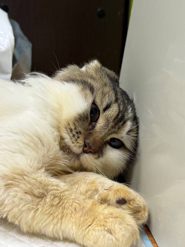 HBMyb82WUAEQ6j ?format=jpg.jpg