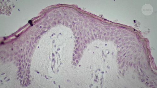 ILRM7 yYiYONwExe.jpg