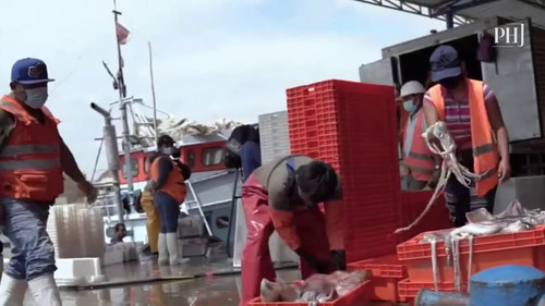 y85aJ4pa FXspVTF.jpg