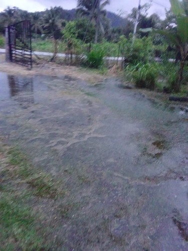 WhatsApp Image 2026 02 15 at 7.20.49 PM.jpg