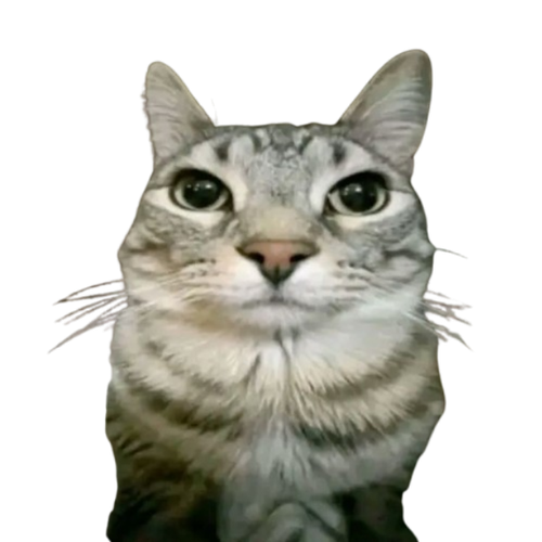 image 2026 02 16 014236894.png