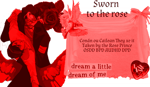 Untitled589 20260214173559.png