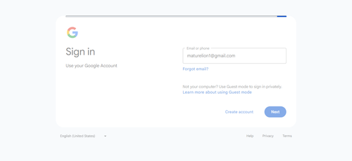 2026 02 15T11 22 56 928Z GOOGLE email entered unknown.png