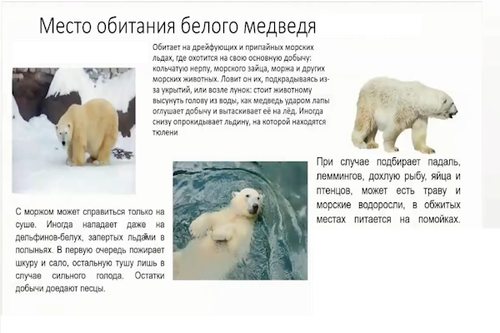 ошибка шрифта.png