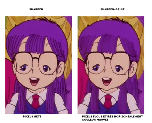 bug bruit horizontal1.jpg