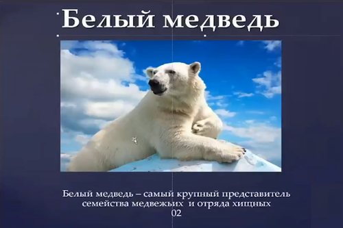 ошибка макета.png