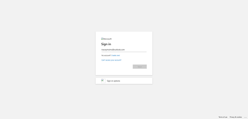 2026 02 15T11 30 25 066Z OFFICE email entered password.png