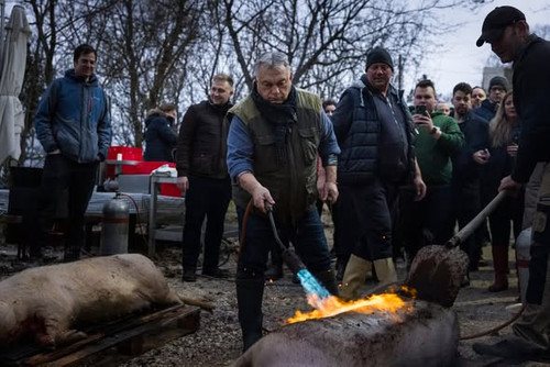 637403433 1413328717472473 4590335757224669488 n.jpg?stp=dst jpg s590x590 tt6& nc cat=111&ccb=1 7& n.jpg