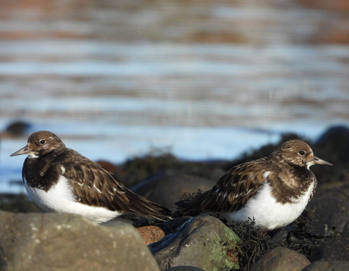 HBIysE XkAAlH2b?format=jpg.jpg