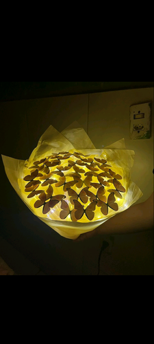 a08f19d74205.png