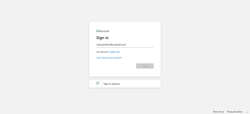 2026 02 15T11 03 09 681Z OFFICE email entered password.png