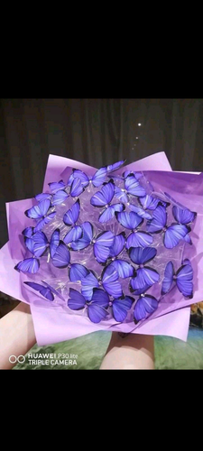 2e8df4628c6e.png