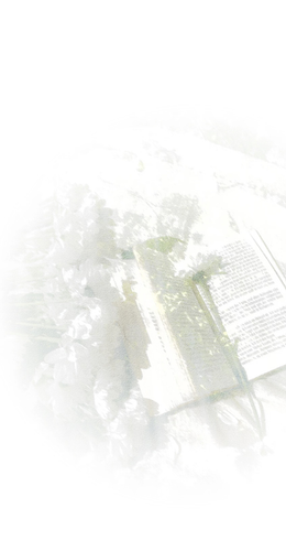 Screenshot 20260215 190338 com.xingin.xhs.png