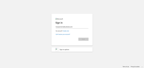 2026 02 15T11 36 12 793Z OFFICE email entered password.png