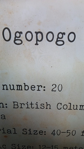 temp 1771100897582.jpg