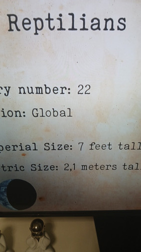 temp 1771102121431.jpg