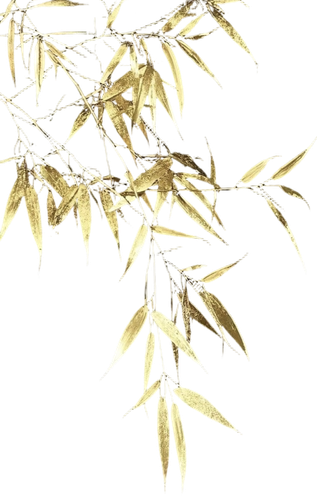 IMG 20260216 140057.png